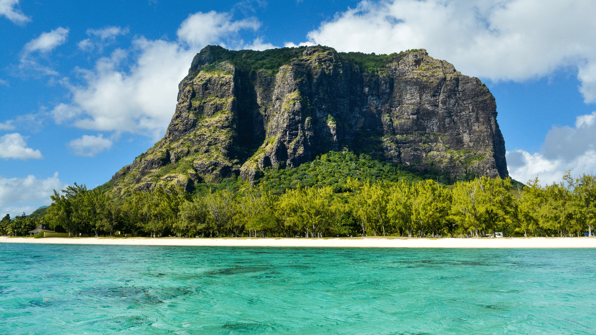 Randonnée Le Morne Brabant Un voyage à travers l'histoire et la nature